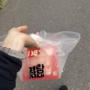 용화초등학교 | 명랑핫도그 럭키 모짜라이스롤 떡볶이+하람꽈배기&amp;크림 핫도그 내돈내산 후기