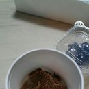 사바나모니터입양 겸 정글펫후기