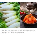 깍뚜기ㆍ무의 영양소 이미지