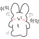 카페스태리 이미지