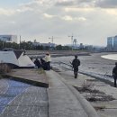 동백코스(서천-군산) 이미지