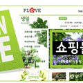 화분속야생화 농원 이미지