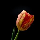 세진한식부페 이미지