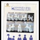 유병환애견미용학원