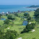 스톤게이트C.C 이미지