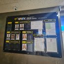 (주)나래 아쿠아 키즈풀 이미지