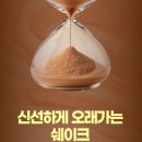 게이너마트 에이스 프로틴 초코맛 벌크업 단백질 쉐이크 후기