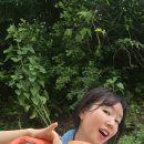 스테이카멜7 이미지