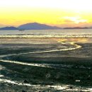 토황민박 이미지