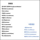 로스팅2020