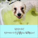 개와 사람(애견호텔) 이미지