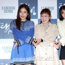 홍자몰