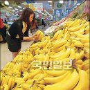 오복쿡