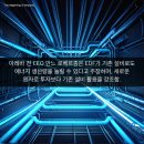 프랑스올리브 이미지