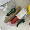 인천강아지분양 멍그레 이미지
