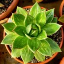 꿈의궁전 이미지