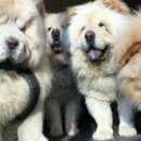 삼일의료기 이미지