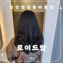 천안청당동미용실 C컬펌 후기 로이드밤청당점