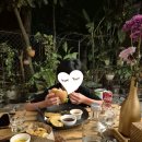 보홀 맛집 마사지 추천 내돈내산 + 불쇼