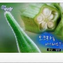 몽산농장 네이버블로그