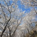 유곡마을 회관앞 이미지