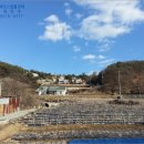 세종목장 이미지