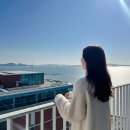 수정시흥-D-4 | 시흥 거북섬 코스타 호텔, 가성비 웨이브파크 인근 조식 및 시티뷰 객실 후기