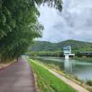 대나무생태원 화장실 이미지