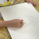 그림숲미술교습소 이미지