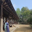 삼강약국 | 관광통역안내사 자격증 취득