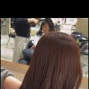 푸른미용실 이미지