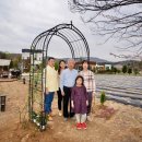 린네약국 이미지