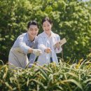 관음포연꽃마을협동조합 이미지