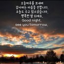 행복한밤 이미지