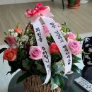 췌장암 수술환자 퇴원 후 관리(배액관, 식사 관리) #한달차
