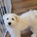 오늘도 너에개 이미지