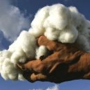 스텝복싱(Step Boxing) 이미지