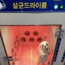 개편한까페 이미지