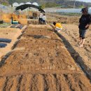 동원농장 2 이미지