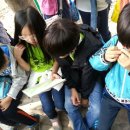 금파초등학교 이미지