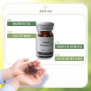 (주)비엔바이오 이미지