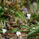 한강철책길 이미지