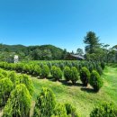 고인목장 이미지