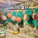 제주 해녀의 물옷과 물질도구(15점) | 제주도 혼자여행 가볼만한곳 구좌읍 해녀박물관 여행지 추천