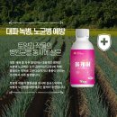 올케어방제