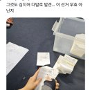 부정투표 그냥 음모론인줄 알았는데 생각해보니까 가능하긴하네 이미지