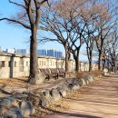 와룡문화커피 이미지