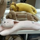유콩하우스 이미지