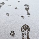 블로그시작하기&사진편집 이미지