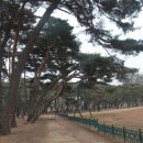 오릉 이미지